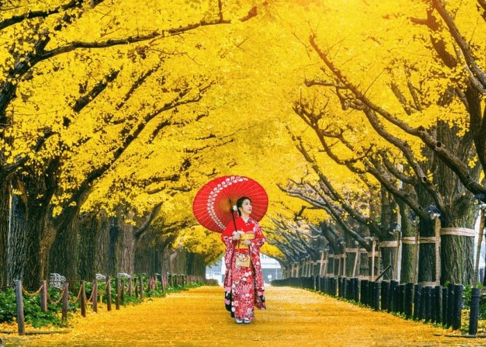 Best time to visit Japan